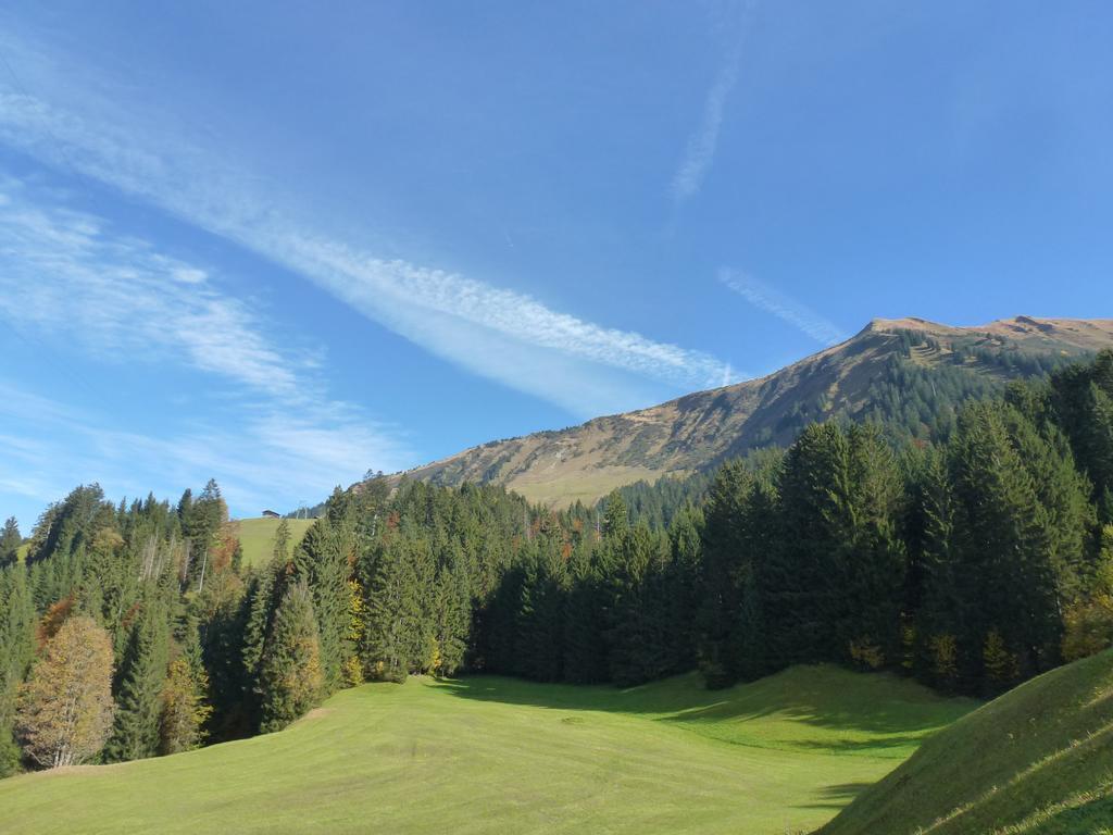 Walser Berg Chalets リーツラーン エクステリア 写真
